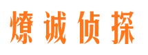 额敏资产调查